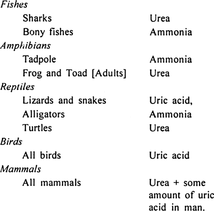 Write nitrogens waste products in different vertebrates.