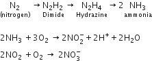 stack straight N subscript 2 with left parenthesis nitrogen right parenthesis below space rightwards arrow stack straight N subscript 2 straight H subscript 2 space with Dimide below rightwards arrow stack straight N subscript 2 straight H subscript 4 with Hydrazine below rightwards arrow 2 stack NH subscript 3 with ammonia below

2 NH subscript 3 space plus 3 straight O subscript 2 space rightwards arrow 2 NO subscript 2 superscript minus plus 2 straight H to the power of plus plus 2 straight H subscript 2 straight O
2 NO subscript 2 space plus straight O subscript 2 space rightwards arrow space 2 NO subscript 3 superscript minus
