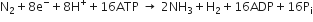 straight N subscript 2 plus 8 straight e to the power of minus plus 8 straight H to the power of plus plus 16 ATP space rightwards arrow space 2 NH subscript 3 plus straight H subscript 2 plus 16 ADP plus 16 straight P subscript straight i