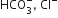 HCO subscript 3 superscript minus comma space Cl to the power of minus
