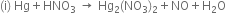 left parenthesis straight i right parenthesis space Hg plus HNO subscript 3 space rightwards arrow space Hg subscript 2 left parenthesis NO subscript 3 right parenthesis subscript 2 plus NO plus straight H subscript 2 straight O