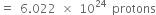 equals space 6.022 space cross times space 10 to the power of 24 space protons