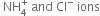 space NH subscript 4 superscript plus space and space Cl to the power of minus space ions