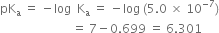pK subscript straight a space equals space minus log space space straight K subscript straight a space equals space minus log space left parenthesis 5.0 space cross times space 10 to the power of negative 7 end exponent right parenthesis
space space space space space space space space space space space space space space space space space space space space space space space space equals space 7 minus 0.699 space equals space 6.301