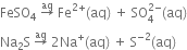 FeSO subscript 4 space rightwards arrow with aq on top space Fe to the power of 2 plus end exponent left parenthesis aq right parenthesis space plus space SO subscript 4 superscript 2 minus end superscript left parenthesis aq right parenthesis
Na subscript 2 straight S space rightwards arrow with aq on top space 2 Na to the power of plus left parenthesis aq right parenthesis space plus space straight S to the power of negative 2 end exponent left parenthesis aq right parenthesis