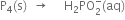 straight P subscript 4 left parenthesis straight s right parenthesis space space rightwards arrow space space space space space straight H subscript 2 PO subscript 2 superscript minus left parenthesis aq right parenthesis