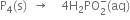 straight P subscript 4 left parenthesis straight s right parenthesis space space rightwards arrow space space space space 4 straight H subscript 2 PO subscript 2 superscript minus left parenthesis aq right parenthesis