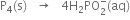 straight P subscript 4 left parenthesis straight s right parenthesis space space space rightwards arrow space space space 4 straight H subscript 2 PO subscript 2 superscript minus left parenthesis aq right parenthesis