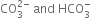 CO subscript 3 superscript 2 minus end superscript space and space HCO subscript 3 superscript minus