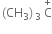 left parenthesis CH subscript 3 right parenthesis subscript 3 space straight C with plus on top