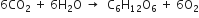 6 CO subscript 2 space plus space 6 straight H subscript 2 straight O space rightwards arrow space space straight C subscript 6 straight H subscript 12 straight O subscript 6 space plus space 6 straight O subscript 2