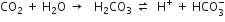 CO subscript 2 space plus space straight H subscript 2 straight O space rightwards arrow space space space straight H subscript 2 CO subscript 3 space rightwards harpoon over leftwards harpoon space space straight H to the power of plus space plus space HCO subscript 3 superscript minus