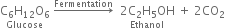stack straight C subscript 6 straight H subscript 12 straight O subscript 6 with Glucose below space rightwards arrow with Fermentation on top space space stack 2 straight C subscript 2 straight H subscript 5 OH with Ethanol below space plus space 2 CO subscript 2