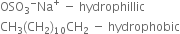 OSO subscript 3 to the power of minus Na to the power of plus space minus space hydrophillic
CH subscript 3 left parenthesis CH subscript 2 right parenthesis subscript 10 CH subscript 2 space minus space hydrophobic