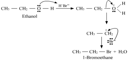 Wired Faculty CHEN12116621