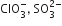 ClO subscript 3 superscript minus comma space SO subscript 3 superscript 2 minus end superscript