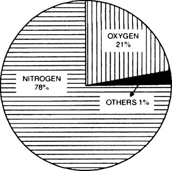 Describe the composition of atmosphere. 