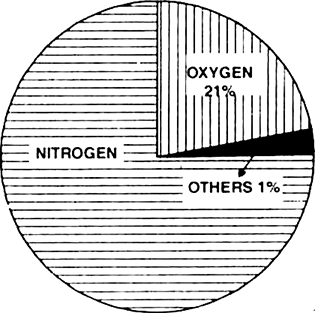 Describe the composition of the atmosphere.