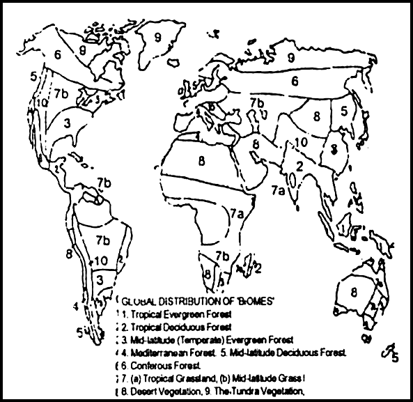 Describe the global distribution of biomes.