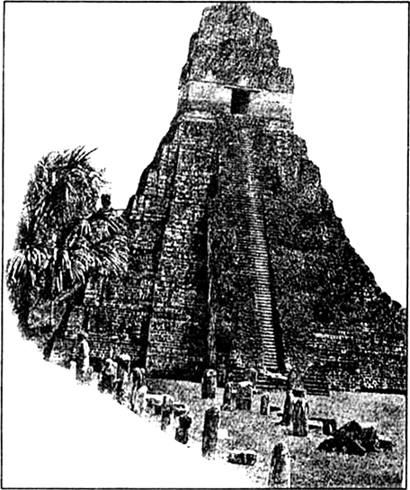 Write a short note on the Mayan Culture.