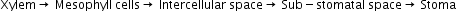 Xylem rightwards arrow space Mesophyll space cells rightwards arrow space Intercellular space space rightwards arrow space Sub minus stomatal space space rightwards arrow space Stoma