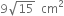 9 square root of 15 space space cm squared