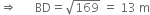 rightwards double arrow space space space space space space BD equals square root of 169 space equals space 13 space straight m