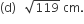 open parentheses straight d close parentheses space space space square root of 119 space cm.