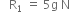 space space space straight R subscript 1 space equals space 5 straight g space straight N