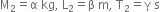 straight M subscript 2 equals straight alpha space kg comma space straight L subscript 2 equals straight beta space straight m comma space straight T subscript 2 equals straight gamma space straight s