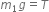 m subscript 1 g equals T
