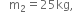 space space space straight m subscript 2 equals 25 kg comma