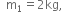 space space straight m subscript 1 equals 2 kg comma