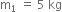 straight m subscript 1 space equals space 5 space kg