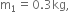 straight m subscript 1 equals 0.3 kg comma