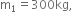 straight m subscript 1 equals 300 kg comma