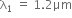 straight lambda subscript 1 space equals space 1.2 μm