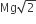 Mg square root of 2
