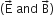 open parentheses straight E with rightwards arrow on top space and space straight B with rightwards arrow on top close parentheses