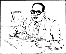 Read and study very carefully the given cartoon and the following sentences along with question/questions and answer them."One likes to ask whether there can be anything new in a constitution framed at this hour in the history of the world... The only new thing, if there can be any, in a constitution framed so late in the day are the variations, made to remove the failures and accommodate it to the needs of the country."  Q. What was the main new thing according to Dr. B.R. Ambedkar during the process of framing the Indian constitution?