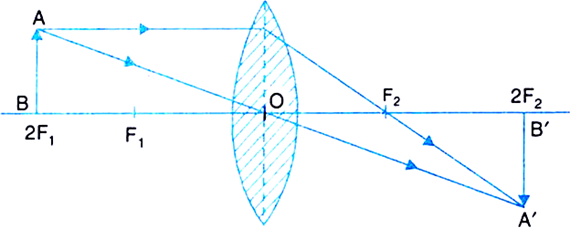 Wired Faculty