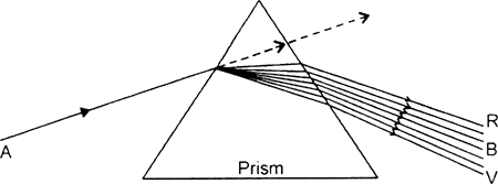 Wired Faculty