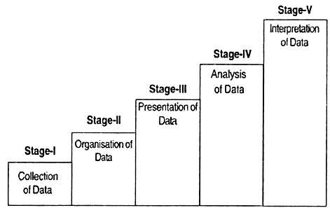 Name the stages of statistical study and statistical tools for presentation of data. Or Describe the main stages of statistics and their related tools.